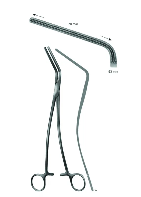 Atraumata Anastomosis And Ascending Aotra Cross, Bronchus Clamps